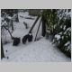 DSC08956.JPG